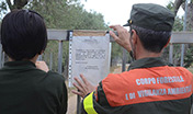 07 30 pula lottizzazione abusiva