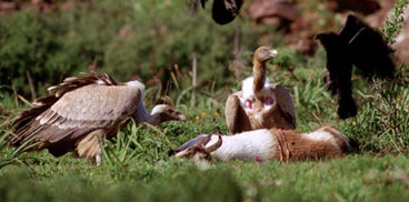 19 173 20110209170522