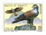 AQUILA DI BONELLI WEB