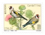 CARDELLINO web