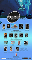 SWIMN SWING web