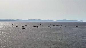 barcolada nel golfo