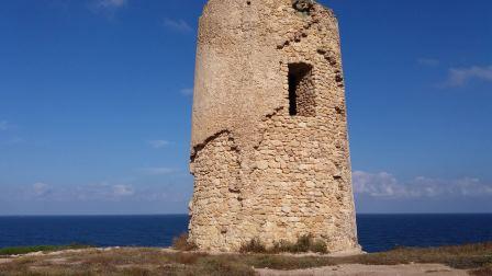 faro 2
