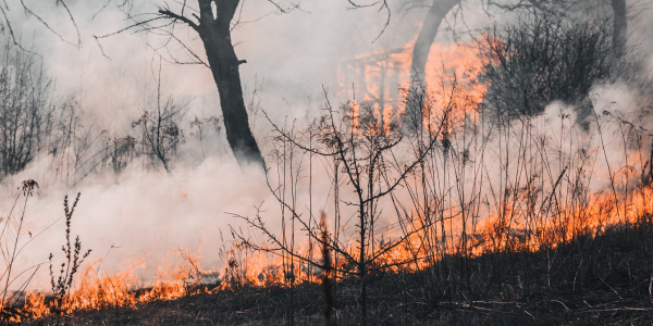 incendio