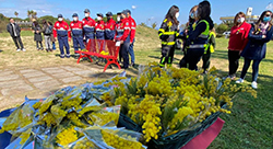 panoramica panchine rosse web 1