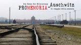 promemoria Auschwitz RID