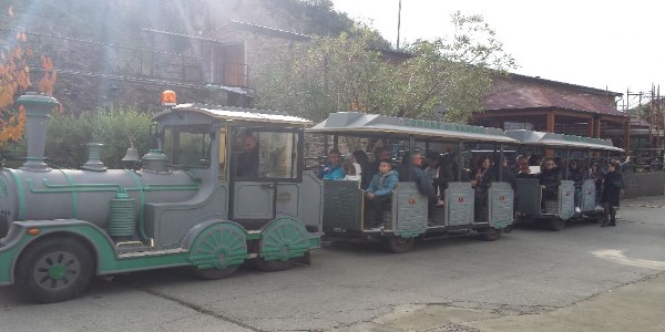 rosas trenino