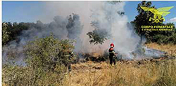 spegnimento incendi web