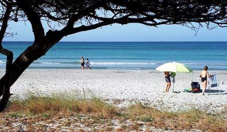 una mattina al mare