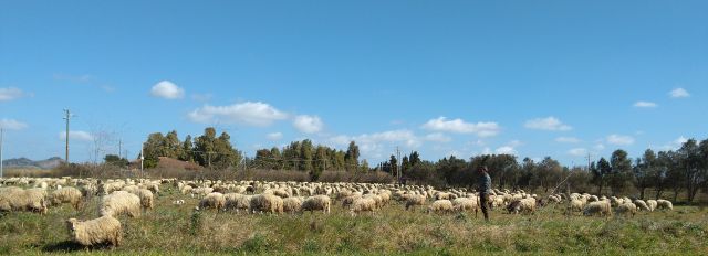 00 00 pastore vangelo