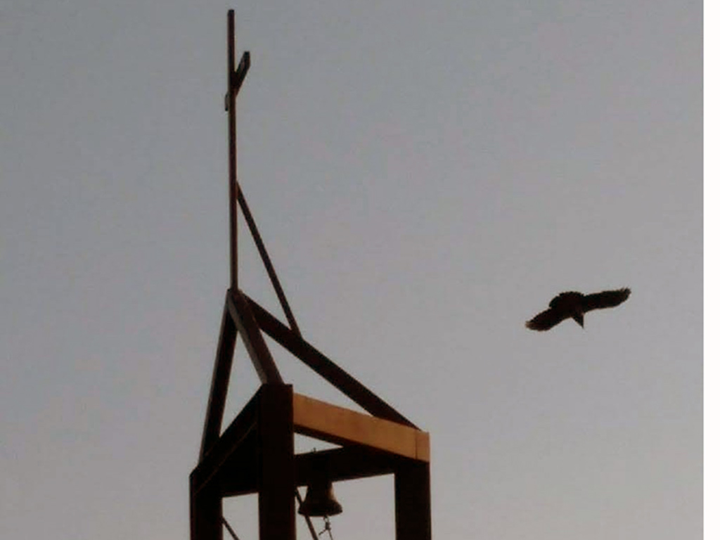 01 02 uccello che vola web