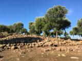 NURaghe 2