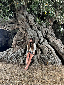 Ulivo villamassargia foto piccola