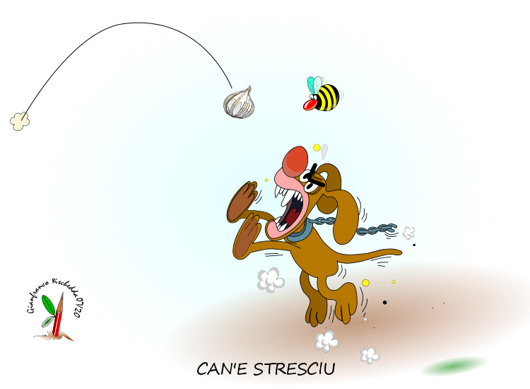 canestresciu