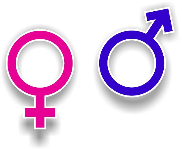 maschio femmina